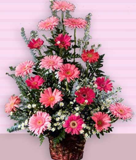 Arreglo de Gerberas 25