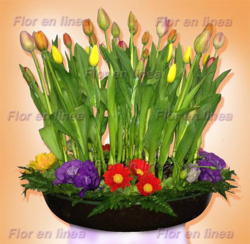 Arreglo de Tulipanes 07