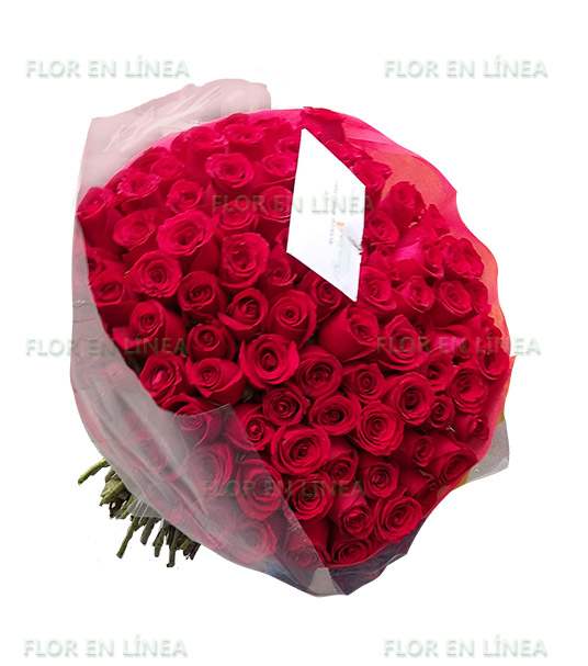 Buchon de Rosas