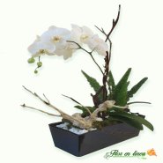 Orquidea Especial 04