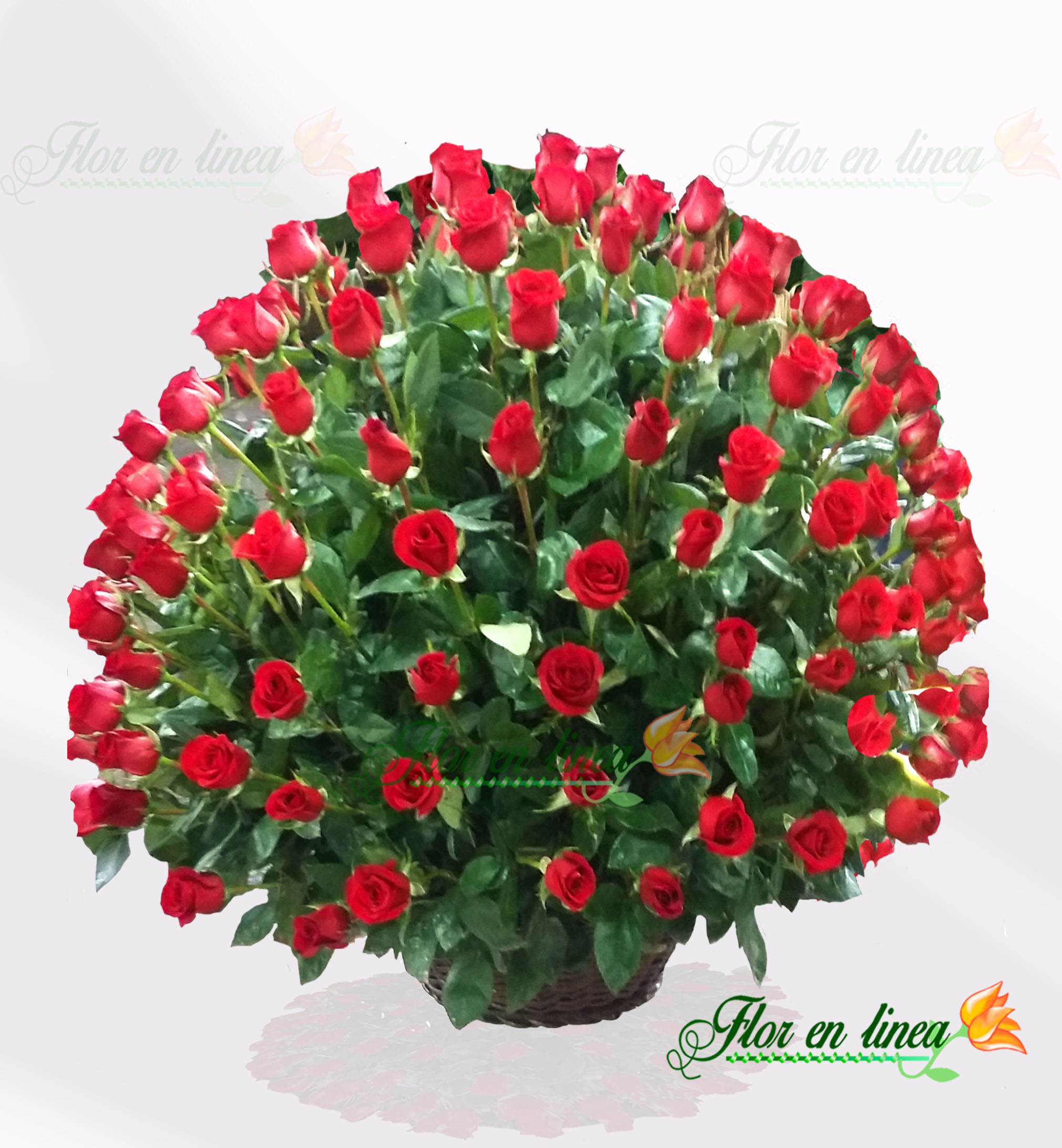 Canasta de Rosas Vip 01