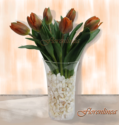 TULIPANES ELEGANTES